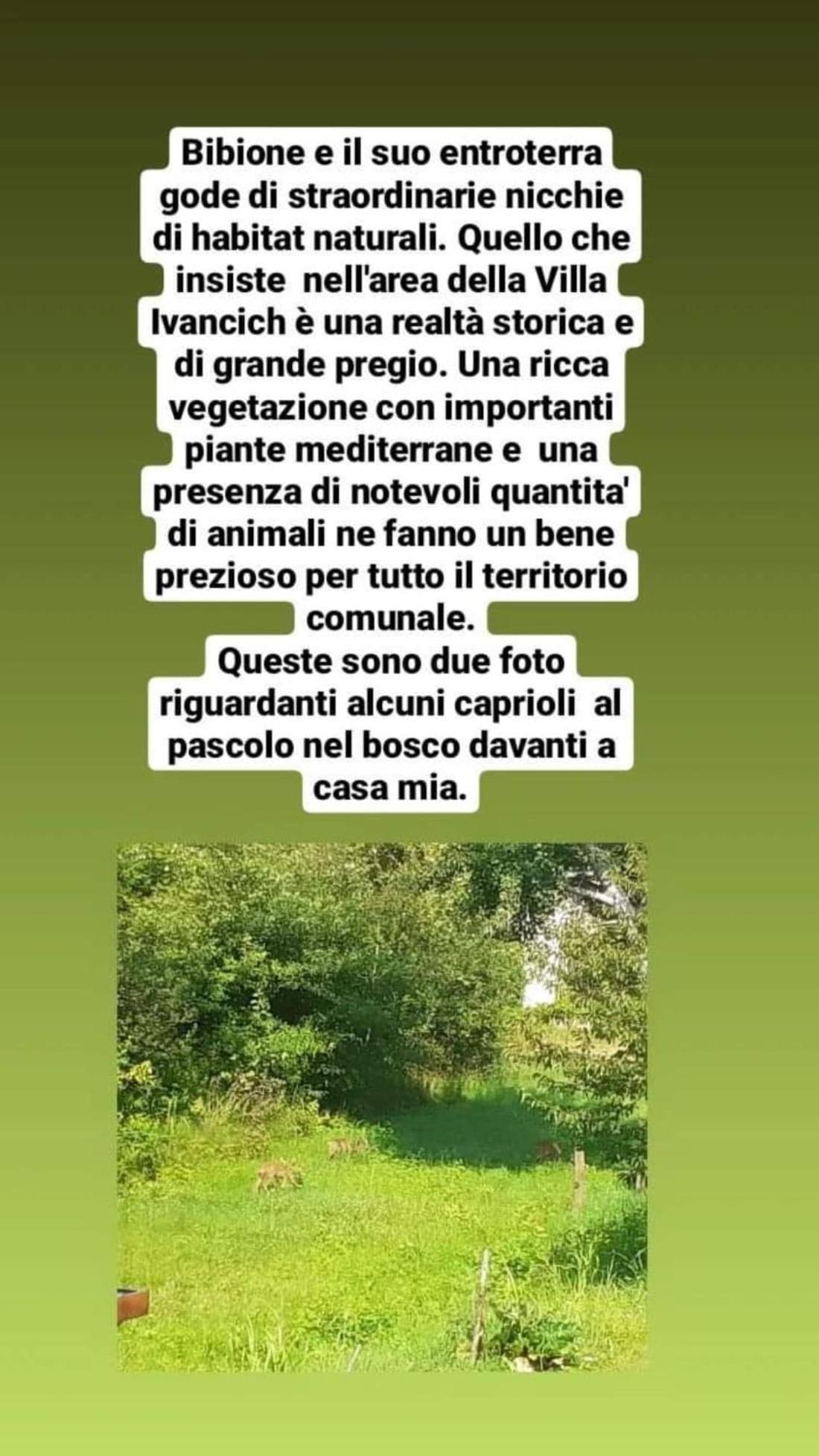 B&B Casa Di Chiara San Michele al Tagliamento Exteriör bild